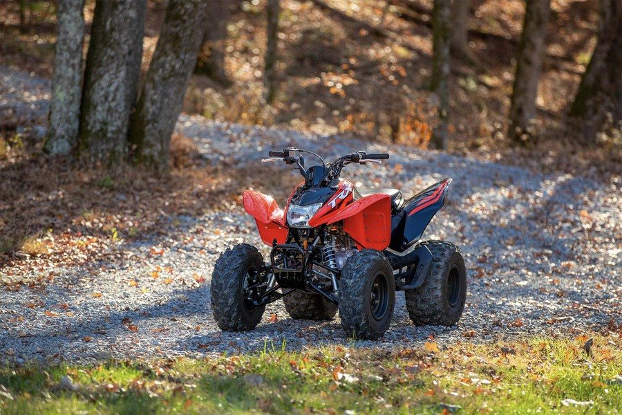 2024 Honda [Off-Site Inventory] TRX250X [Age 16+]