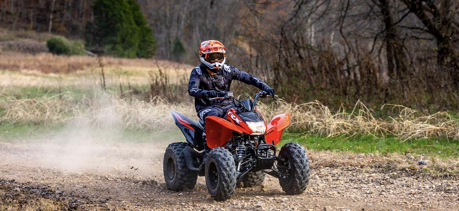 2024 Honda [Off-Site Inventory] TRX250X [Age 16+]