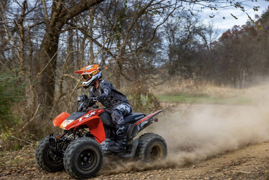 2024 Honda [Off-Site Inventory] TRX250X [Age 16+]