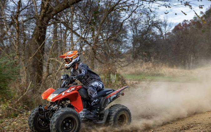 2024 Honda [Off-Site Inventory] TRX250X [Age 16+]