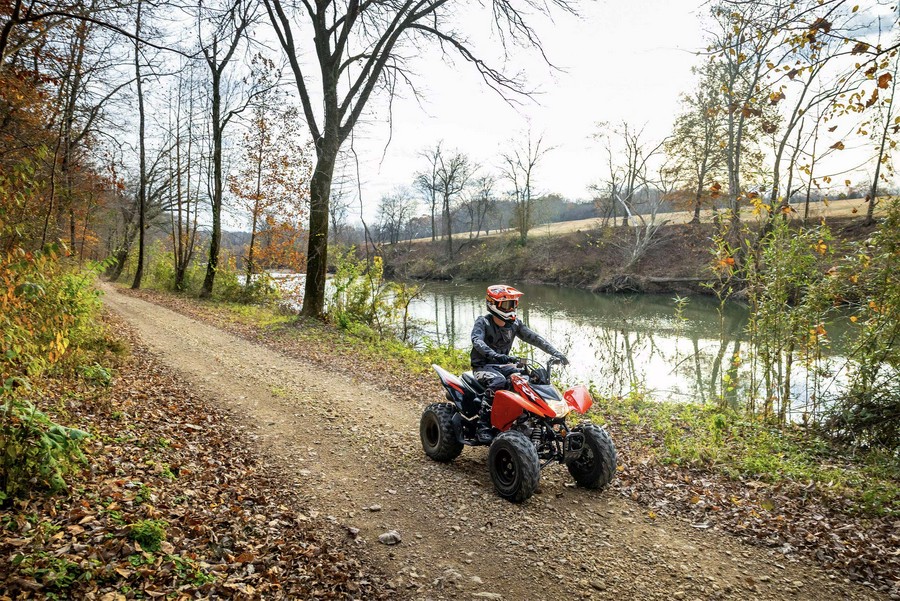 2024 Honda [Off-Site Inventory] TRX250X [Age 16+]