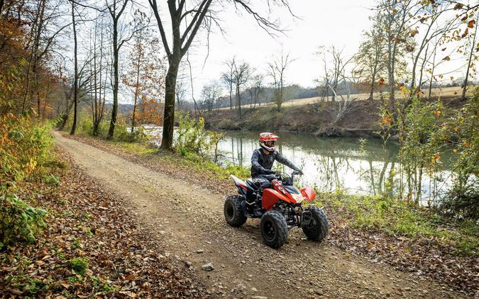 2024 Honda [Off-Site Inventory] TRX250X [Age 16+]