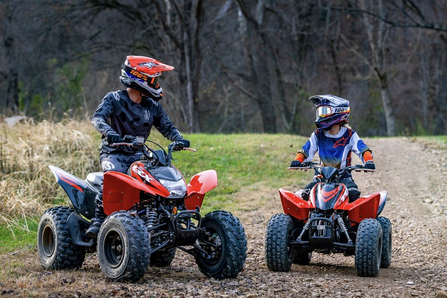 2024 Honda [Off-Site Inventory] TRX250X [Age 16+]