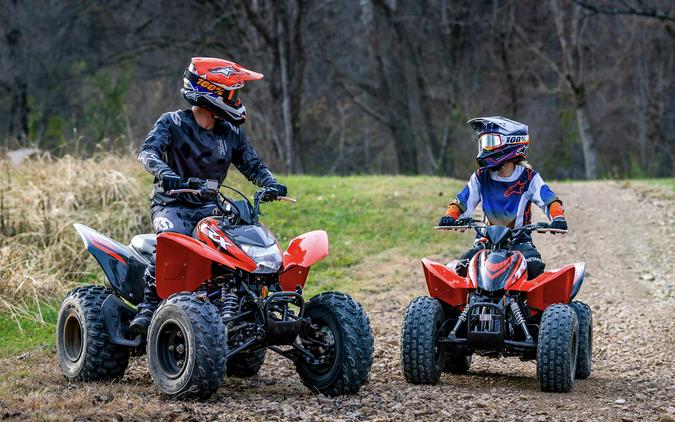 2024 Honda [Off-Site Inventory] TRX250X [Age 16+]