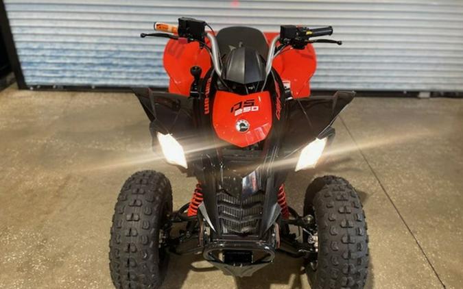 2024 Can-Am DS 250