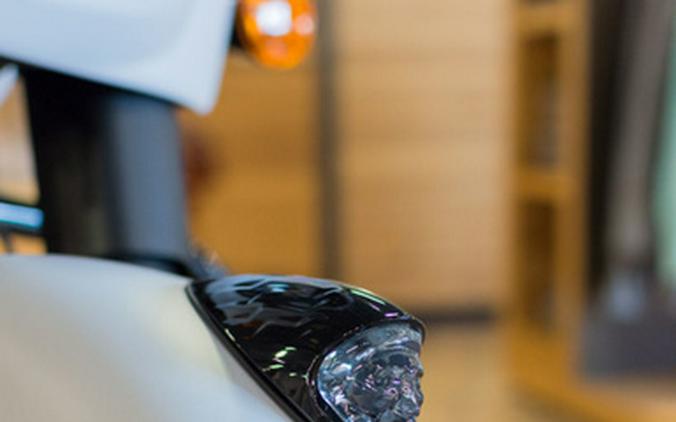 2024 Indian Chieftain Dark Horse Ghost White Metallic Smoke