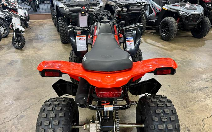 2024 Can-Am DS 250