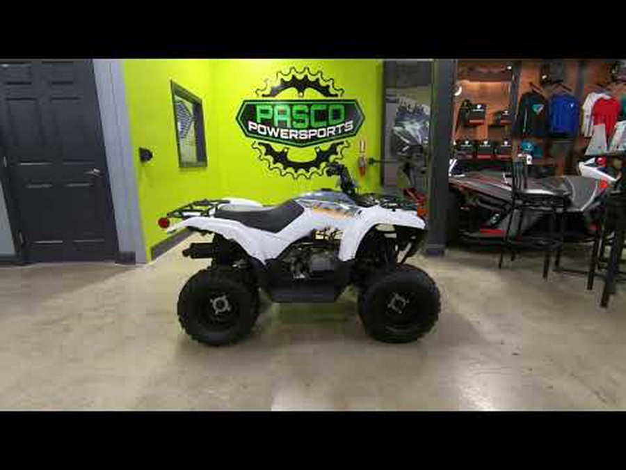 2024 Yamaha Grizzly 90 Youth