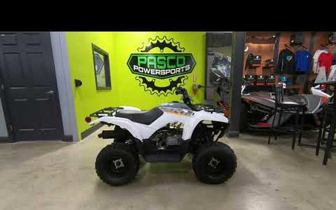 2024 Yamaha Grizzly 90 Youth