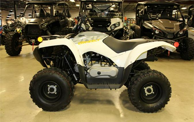 2024 Yamaha Grizzly 90 Youth