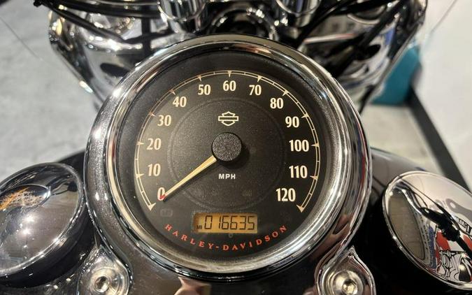 2015 Harley-Davidson® FLD - Dyna® Switchback™