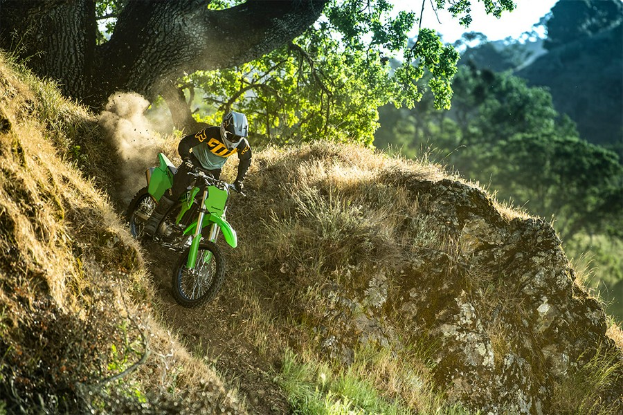 2025 Kawasaki KLX® 300R