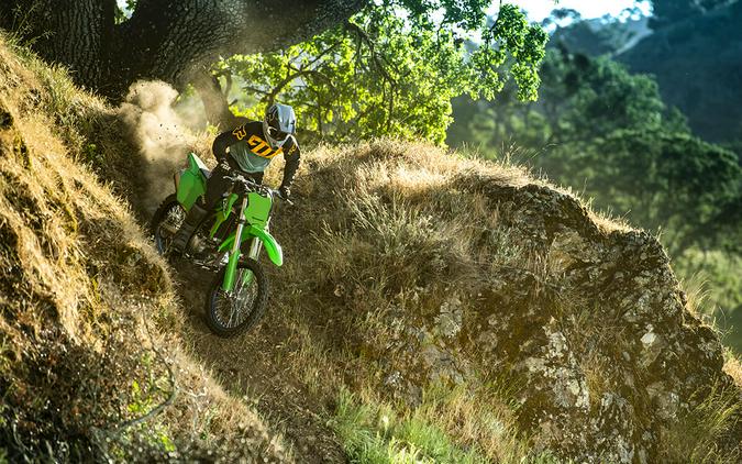 2025 Kawasaki KLX® 300R