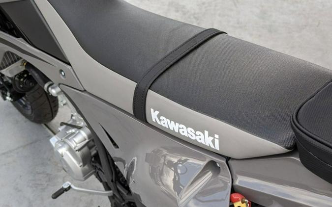 2024 Kawasaki KLX® 300SM