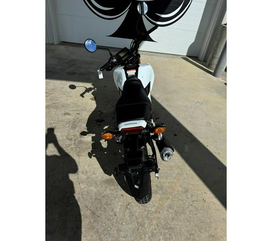 2025 Honda® Grom ABS