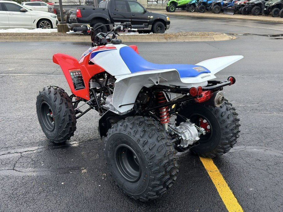 2026 Honda® TRX250X