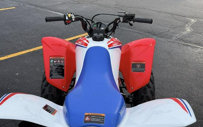 2026 Honda® TRX250X