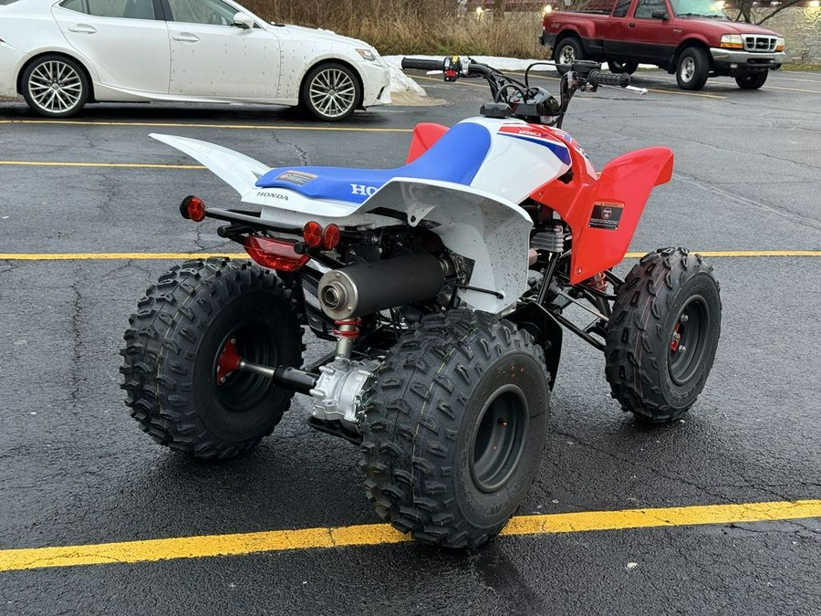 2026 Honda® TRX250X