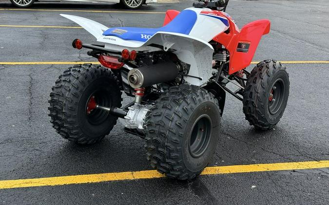 2026 Honda® TRX250X