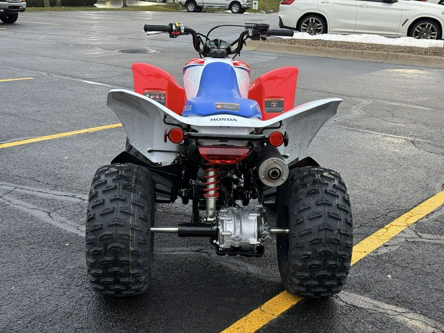 2026 Honda® TRX250X