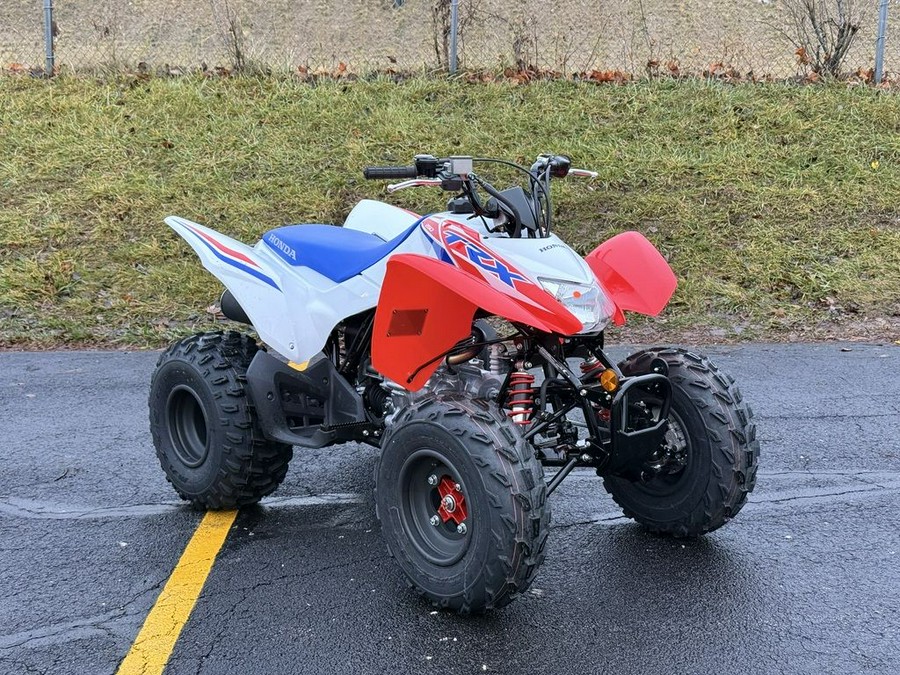 2026 Honda® TRX250X
