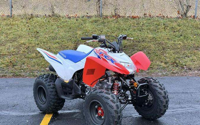 2026 Honda® TRX250X