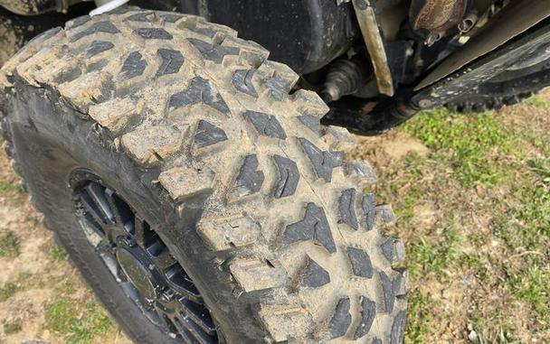 2020 Arctic Cat® Wildcat XX