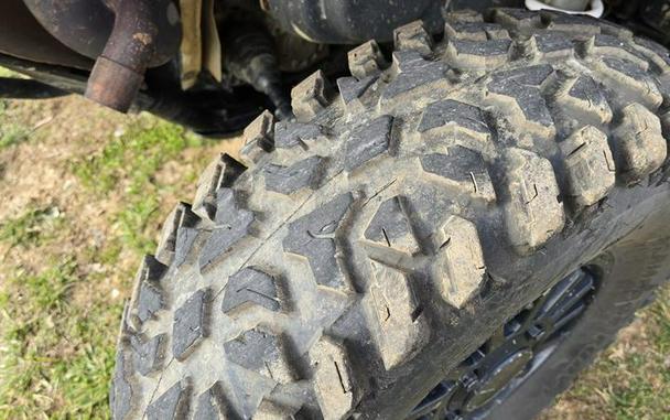 2020 Arctic Cat® Wildcat XX