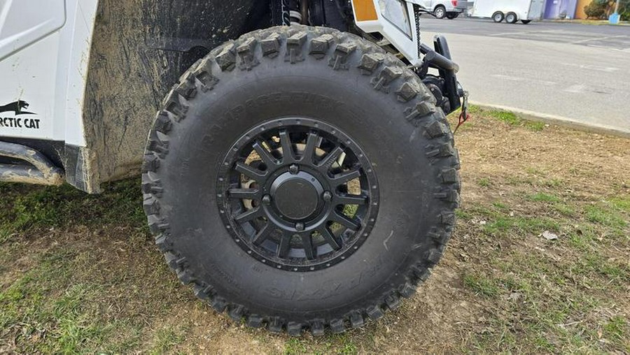 2020 Arctic Cat® Wildcat XX