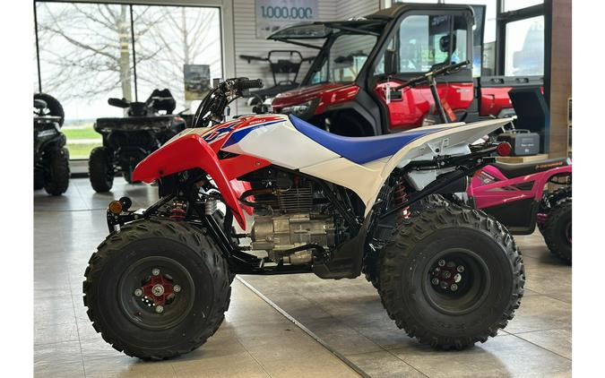 2026 TRX® 250X - Honda