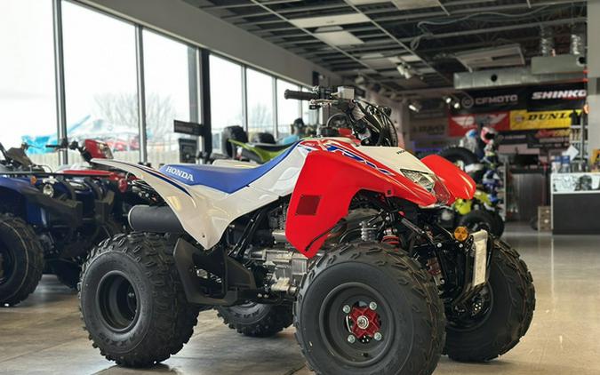 2026 Honda TRX 250X