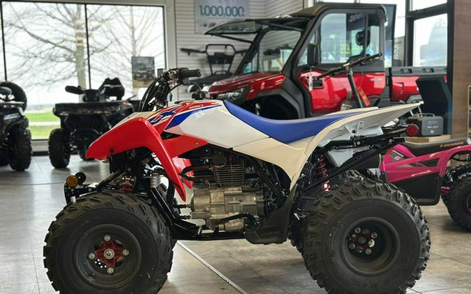 2026 Honda TRX 250X