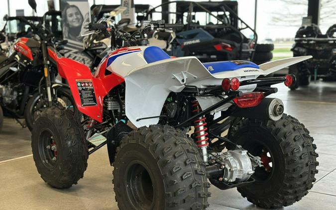 2026 Honda TRX 250X