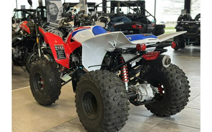 2026 TRX® 250X - Honda