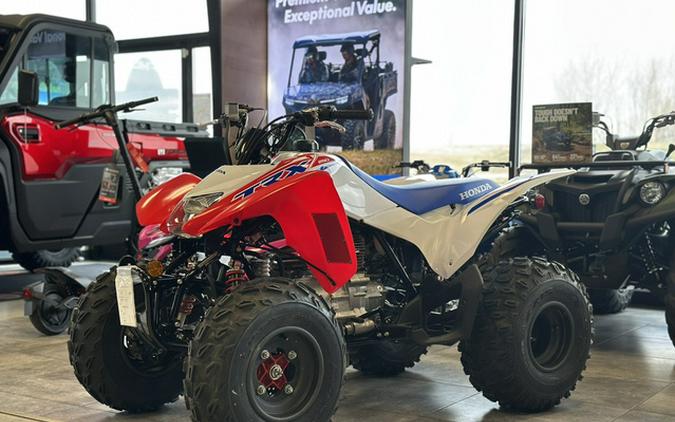 2026 Honda TRX 250X