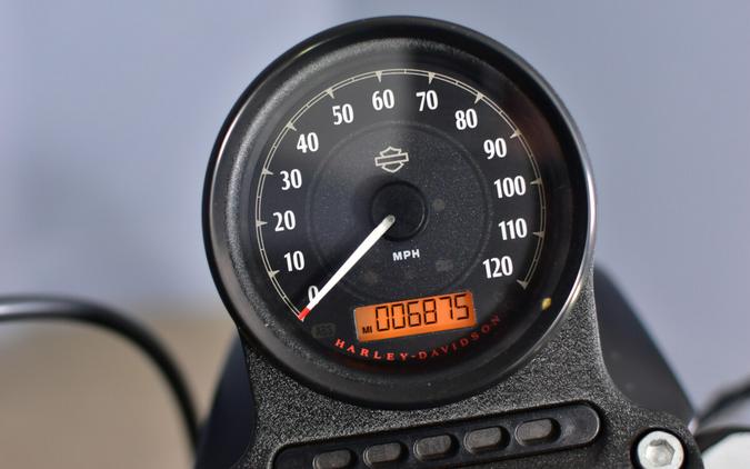 2022 Harley-Davidson Iron 883