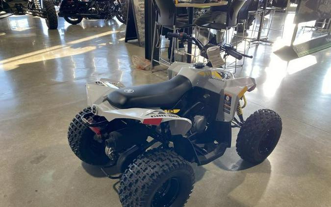 2026 Can-Am® Renegade 110 EFI