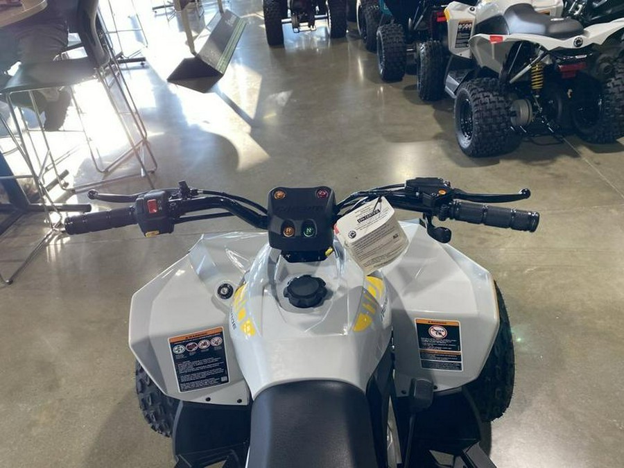 2026 Can-Am® Renegade 110 EFI