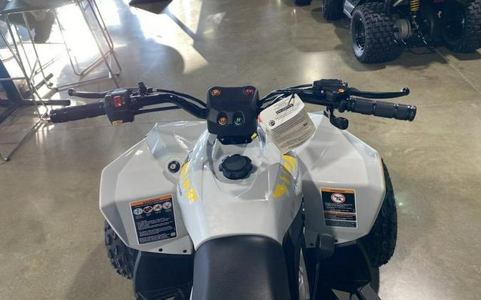 2026 Can-Am® Renegade 110 EFI