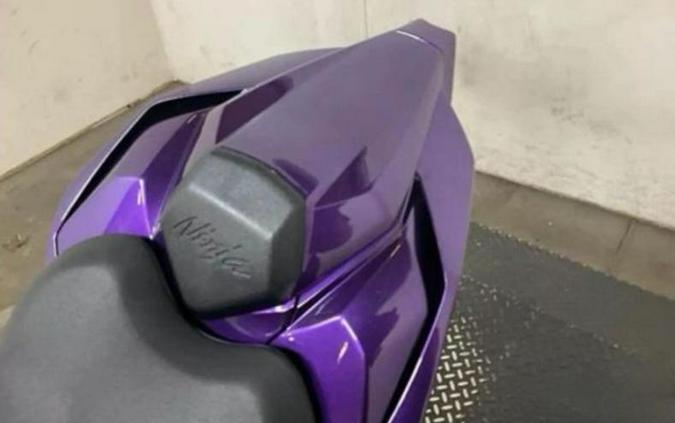 2024 Kawasaki ZX1002MRFAL Ninja ZX-10R