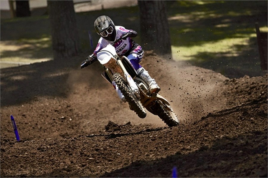 2024 Yamaha YZ250F 50th Anniversary