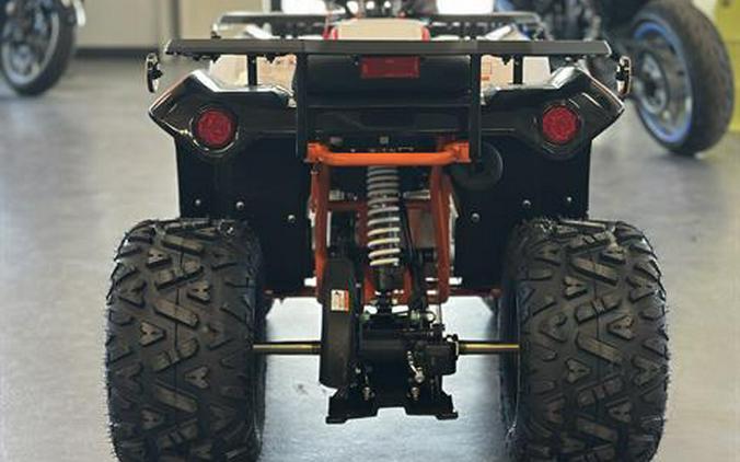2026 Kayo Bull 125 EFI