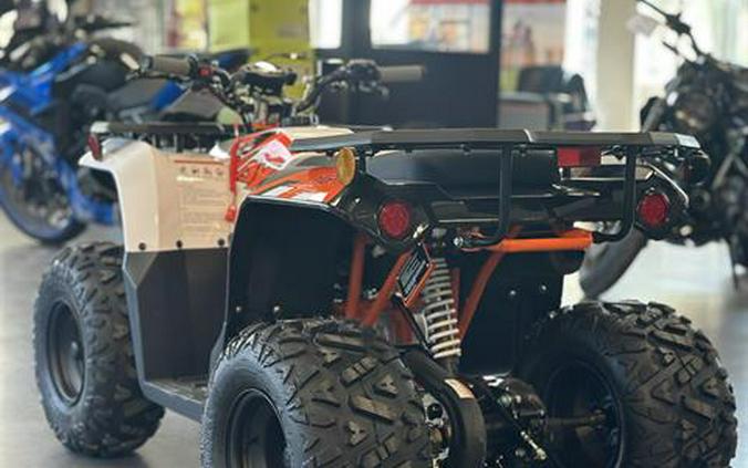 2026 Kayo Bull 125 EFI