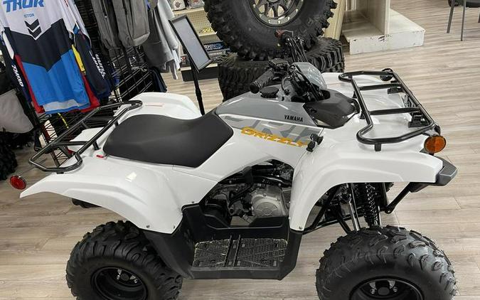 2024 Yamaha Grizzly 90