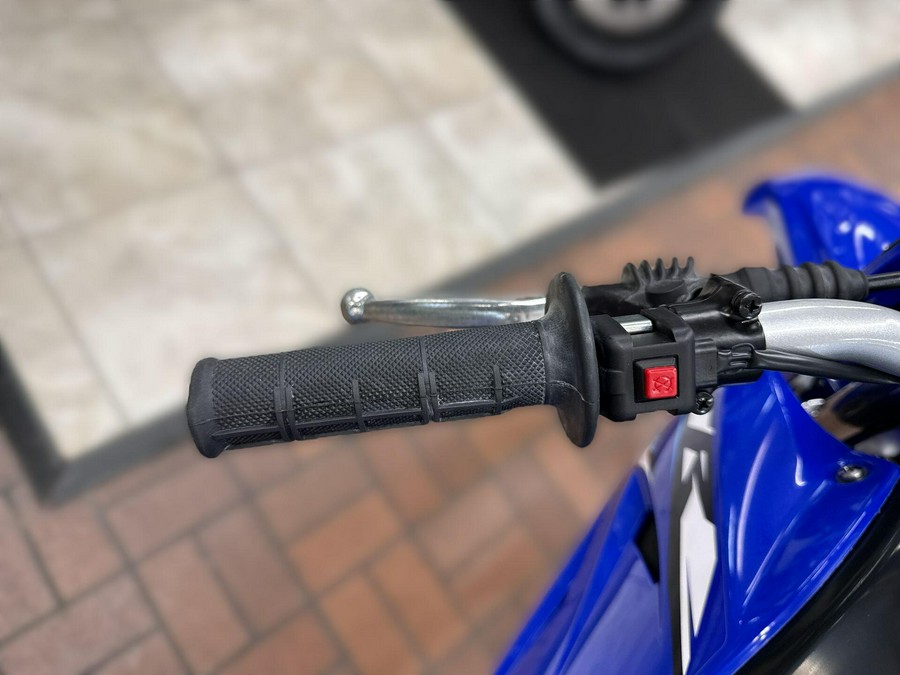 2026 Yamaha TT-R230
