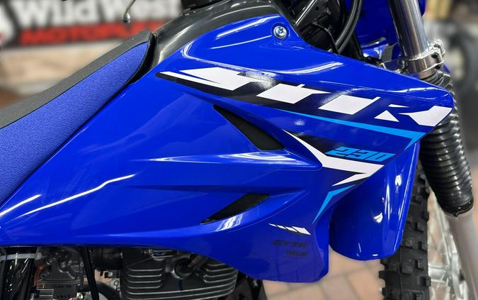 2026 Yamaha TT-R230