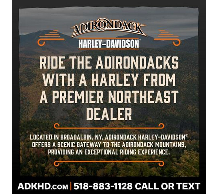 2010 Harley-Davidson Sportster® Iron 883™