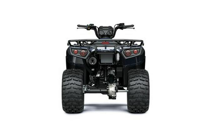 2026 Kawasaki Brute Force 300