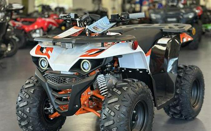 2026 Kayo Bull 125 EFI