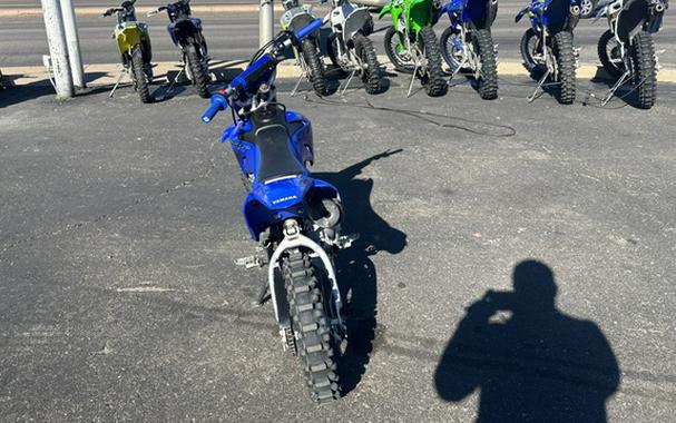 2024 Yamaha TTR 110
